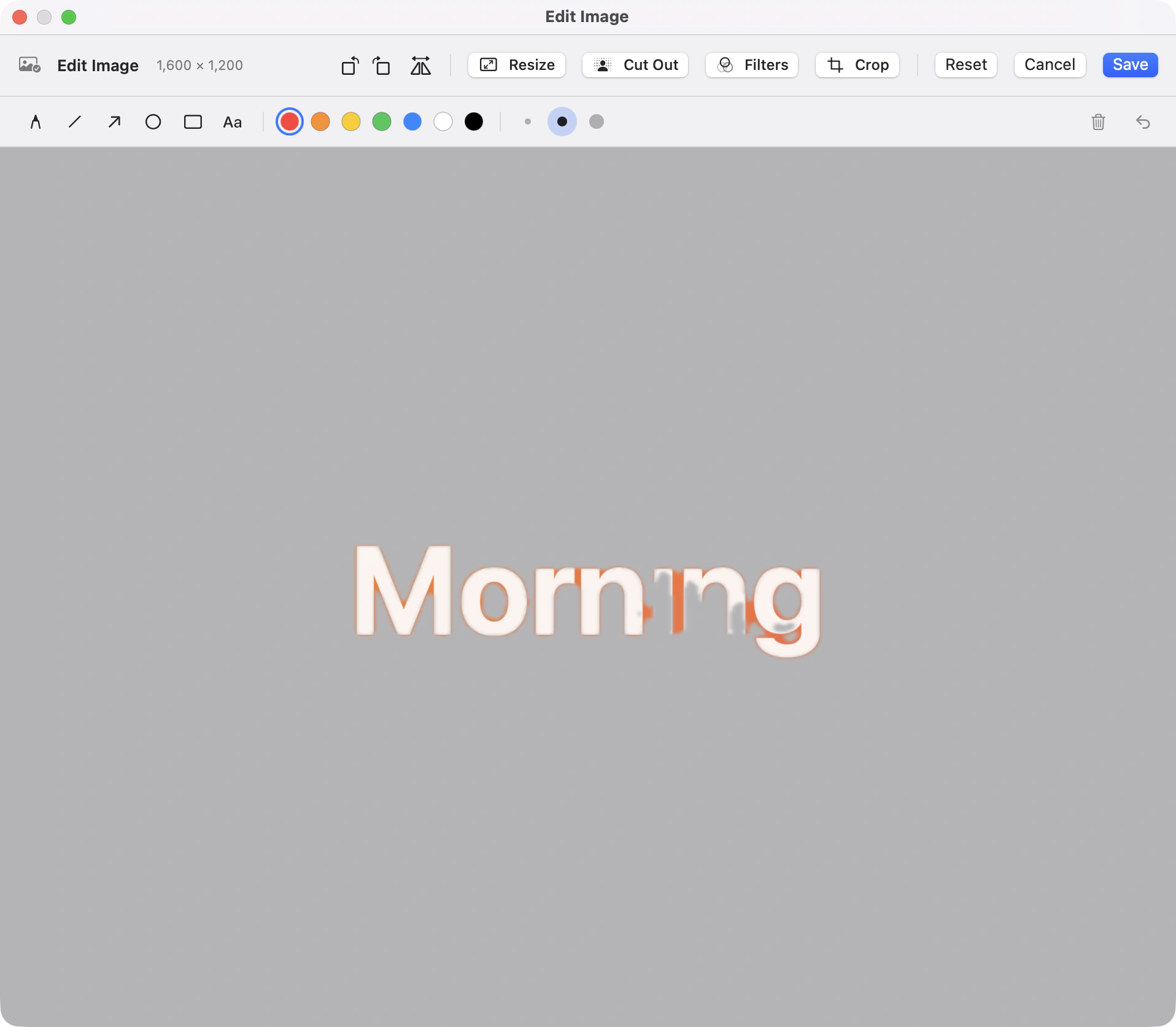 The editor after removing the background: the dog’s white backdrop is now a gray checkerboard